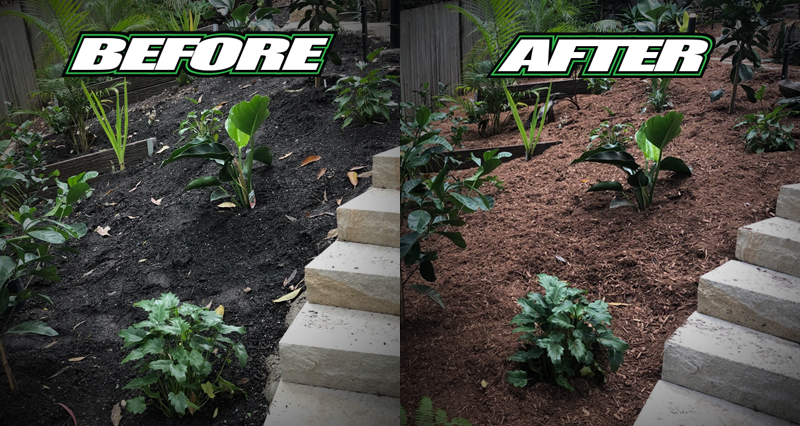 WLS Mulch Taxi Mulch for Residential Gardens