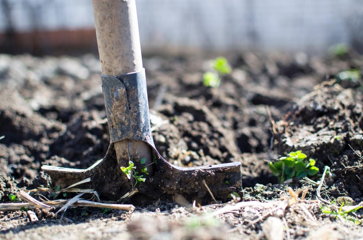 Soil & Compost will help your garden thrives